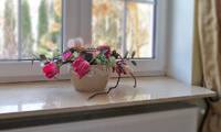 parapet - 01